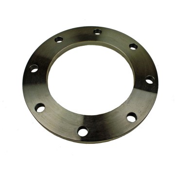PVC Flange